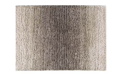 Carpet 03527