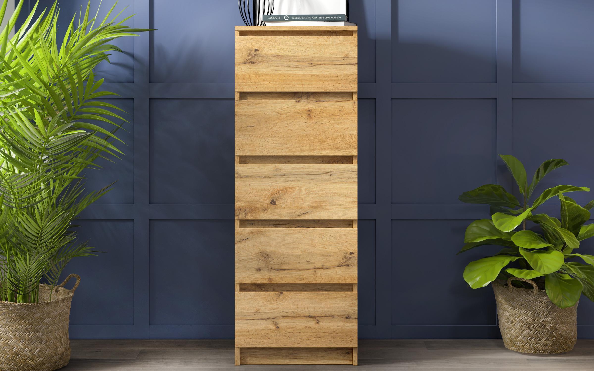 Dresser Crudo, Wotan oak  4