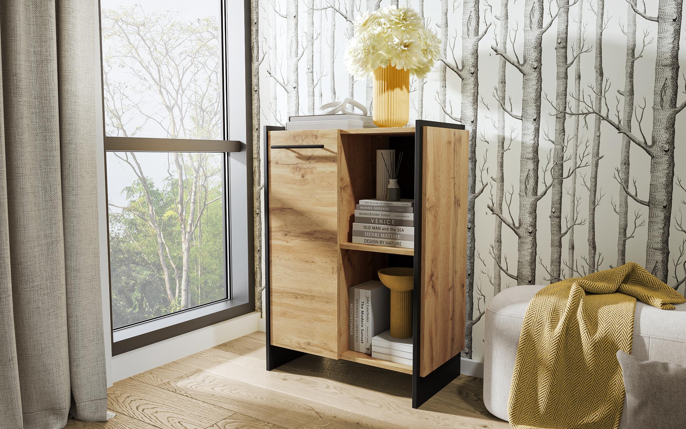 Cabinet Camino 2, Wotan oak + black  1