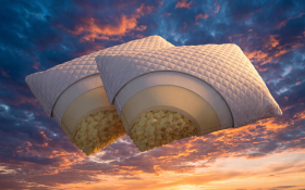 Set of 2 pillows 70/40 Adapti Honey thumb