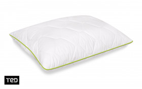 Pillow 50/70 Aloe Dream thumb