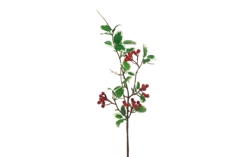 Ornamental plant, size: H80 cm  1