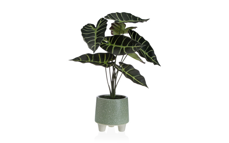 Ornamental plant, size: h46 cm  1