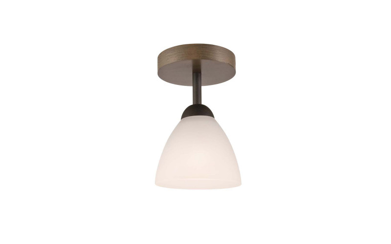 Ceiling lamp,   1