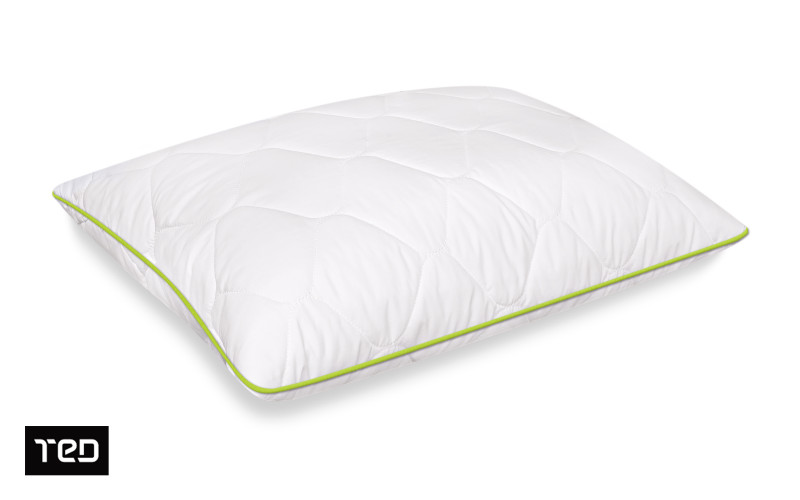 Pillow 50/70 Aloe Dream,   1