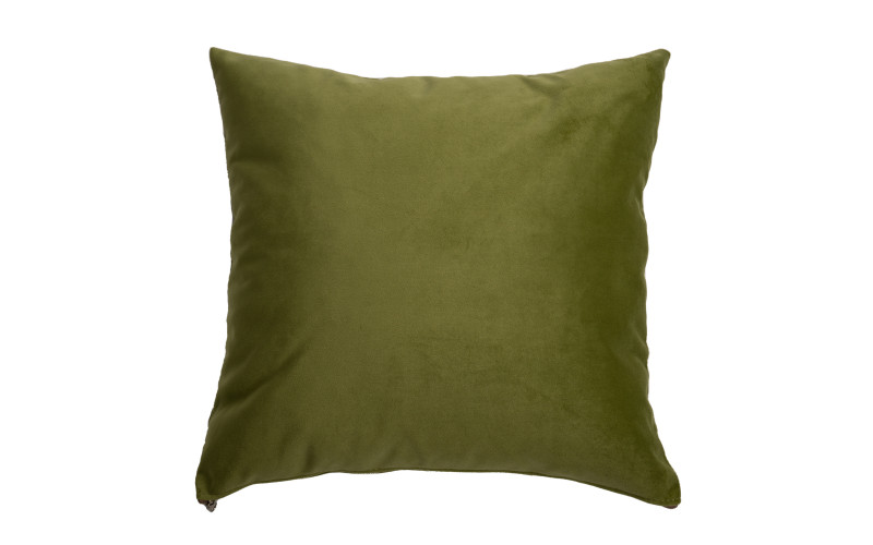 Throw pillow, green  1